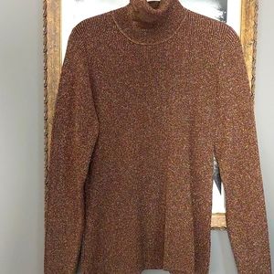 NWT DG2 Shimmer Turtleneck